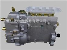 燃油喷射泵（直列泵发电机组）4BT直列泵（B4A61F4A）