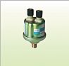 Alarm pressure sensor (Dongfeng EQ153)3846N-010-C2