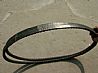 6CT air conditioning belt81Z24-04012