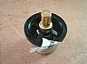 Dongfeng Renault thermostat assemblyD5600222007