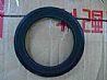 [1007036-E1300] front oil seal assembly