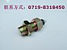 Dongfeng dragon electric appliance speed induction plug 3834N-010/C39672523834N-010/C3967252
