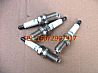 Small Wang Dongfeng 4F18-F spark plug assembly
