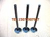 Small Wang Dongfeng 4F18-F intake valve exhaust valve assembly