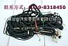 Dongfeng dragon Kang machine old car chassis wiring harness assembly 3724580-Z56D1/3724580-Z53M0
