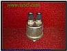 Xiangfan Dragon Oil induction plug4931169