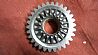 Drive gear tooth of plant