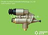 Fulton Cummings 6CT series C3415661 plunger pump (macroporous)