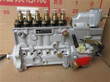 6C燃油喷射泵 适用于 康明斯C3976375