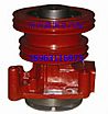 Heavy Weichai engine water pump assembly 61500060229