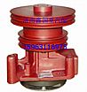 Heavy Weichai engine water pump assembly 612600060134612600060134