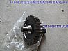 China after heavy truck engine powerVG1500019015A