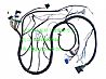 (Dongfeng Tianlong kingrun Hercules automobile electric appliance fittings) - wire harness