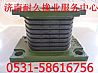 Steyr heavy Howard jinwangzi rubber bearing AZ9725520278AZ9725520278