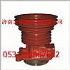 Shandong Lingong, water pump assembly612600060307