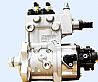 High pressure oil pump of Dongfeng Renault engineD5010222523