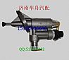Dongfeng Cummins 6BT engine plunger type fuel pump /1106N1-0101106N1-010