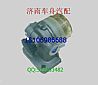 Dongfeng Renault DCi11 engine hand oil pump /D5010412930