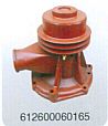 Weifang supply water pump assembly 612600060165612600060165