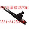 中国重汽进口共轨喷油器总成R61540080017A