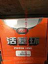 Yizheng Yuchai J5600 piston ring