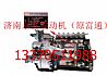 612601080457 Weifang WP10 engine high pressure oil pump