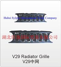 东风小康V29中网 DFSK V29 Radoator Grille