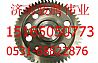 Heavy truck engine oil pump drive gearVG1246080029