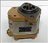 Steering booster pump assembly ZCB-1419/1004ZCB-1419/1004