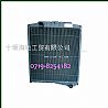 1301N12-010 (Z66) / Dongfeng 6CTA230 horsepower radiator assembly / tank