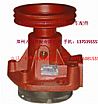 Weichai pump assembly61500060154