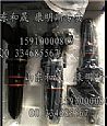 Special offer 12 year version injector [3411821] Shandong and Chongqing oil Sheng Machinery Factory3411821
