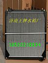 大运重卡水箱 大运重卡散热器/P42501300002