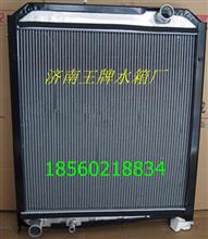 重汽斯太尔水箱 重汽斯太尔散热器WG9112531001