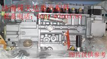 重汽高压油泵总成 重汽喷油泵总成 重汽燃油喷射泵总成VG1093080110VG1093080110