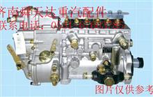 HOWO高压油泵总成 HOWO喷油泵总成 HOWO燃油喷射泵总成VG1095080100VG1095080100