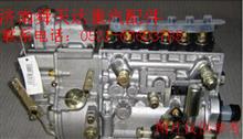 重汽高压油泵总成 重汽喷油泵总成 重汽燃油喷射泵总成VG1096080130VG1096080130