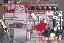 潍柴发动机高压油泵总成 潍柴发动机喷油泵总成 潍柴发动机燃油喷射泵总成612601080546612601080546