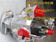 康明斯ISM1/1M11/QSM11发动机柴油泵/高压油泵/喷油器4935095、4076851