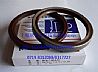 Two shaft seal 19109/C01032/95.23*114.5*12.32