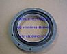 Crankshaft rear oil seal 4205010-K0903-05