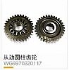 The supply of heavy Howard HOWO 70 Mine accessories driven cylindrical gear
