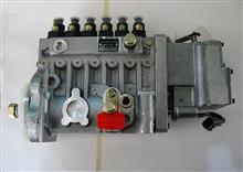 东风康明斯发动机6CTA8.3-G2燃油泵高压油泵49410114941011