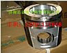 The piston's natural gas engineVG1540030030