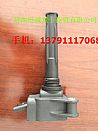 Ignition coil Weifang gas machine (0281005866)612600191524