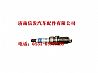 Weichai natural gas engine BOSCH spark plug610800190174