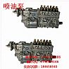 Dongfeng dragon Cummings 260 HP high pressure oil pump 6BH120305 6PH116-120-1100