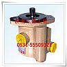 Weichai Power Steering Pump (6 WD10 DZ9100130030)DZ9100130030(6)