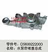 D5600222003 Dongfeng pump with blocking assemblyD5600222003