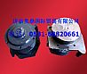 Weifang Diesel engine pump612600061611
